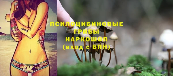 MDMA Бородино