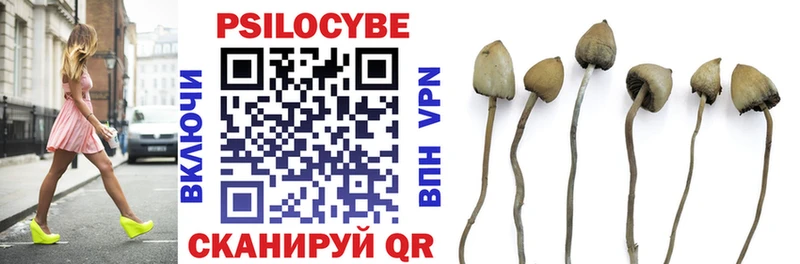 Купить закладки Камень-на-Оби Псилоцибиновые грибы Psilocybe